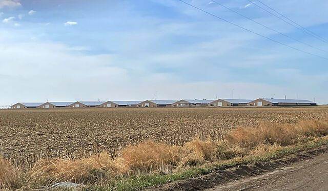 Directions 2022: Growing chickens for Costco a link to origins of five-generation Seward County farm
